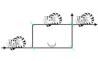 首次發(fā)現(xiàn)“量子柴郡貓”