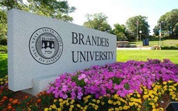 【Brandeis University世界排名】布蘭迪斯大學世界排名及專業(yè)排名匯總